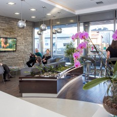 gallery